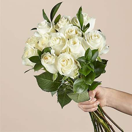 12 Stem Moonlight White Rose Bouquet