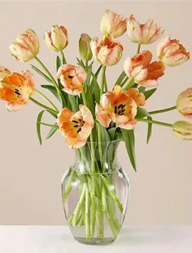 15 Mixed Ruffled and Parrot Tulips with Vase