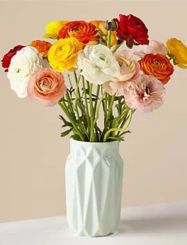 15 Stem Ranunculus with Vase
