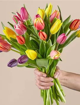 25 Stem Spring Breeze Multicolored Tulip Bouquet