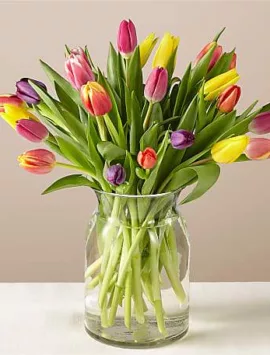 25 Stem Spring Breeze Multicolored Tulip Bouquet With Vase