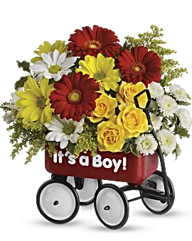 Baby's Wow Wagon | Mixed Bouquets | Same Day Flower Delivery | Multi-Colored | Teleflora