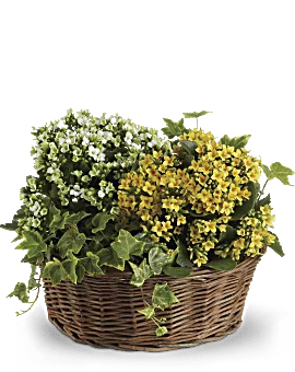 Basket Of Joy | Mixed Bouquets | Same Day Flower Delivery | Yellow | Teleflora