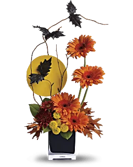 Boo-Tiful Bats | Gerberas | Same Day Flower Delivery | Multi-Colored | Teleflora