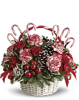 Candy Cane Christmas Floral Arrangement With Peppermint Red Carnations & Edible Candy Canes Hand-Delivered By Local Teleflora Florist Same Day.