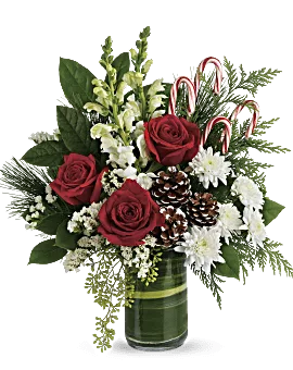 Christmas Floral Arrangement With Red Roses & White Snapdragons Delivered By Local Teleflora Florist Same Day.