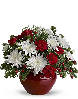 Christmas Treasure | Carnations | Same Day Flower Delivery | White | Teleflora