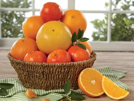 Citrus-Lover's Basket