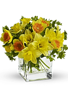 Daffodil Dreams | Mixed Bouquets | Same Day Flower Delivery | Yellow | Teleflora