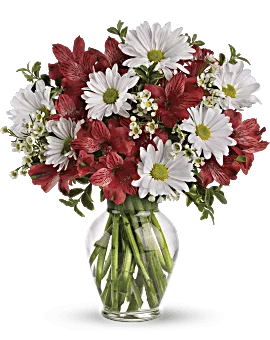 Dancing In Daisies | Mixed Bouquets | Same Day Flower Delivery | White | Teleflora