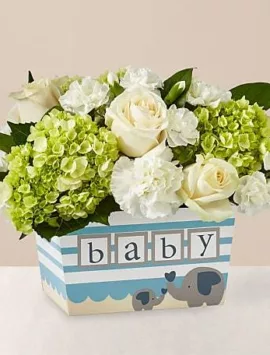 Darling Baby Boy Bouquet | Better