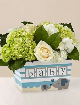 Darling Baby Boy Bouquet | Good