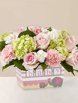 Darling Baby Girl Bouquet | Best