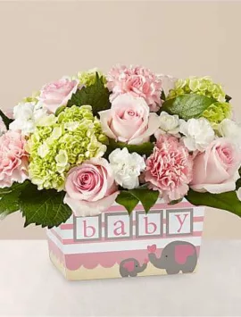 Darling Baby Girl Bouquet | Better