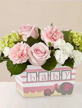Darling Baby Girl Bouquet | Good