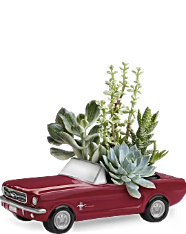 Dream Wheels '65 Ford Mustang | Mixed Bouquets | Same Day Flower Delivery | Red | Teleflora
