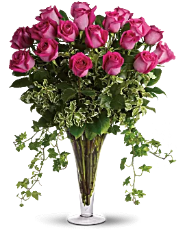 Dreaming In Pink | Roses | Same Day Flower Delivery | Teleflora