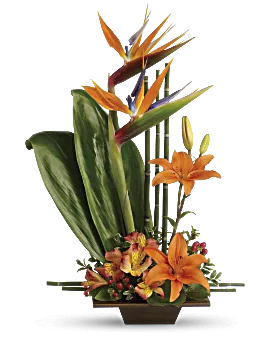 Exotic Grace | Mixed Bouquets | Same Day Flower Delivery | Orange | Teleflora
