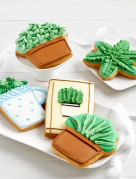 Frosted Succulent Cookies Set Of 5