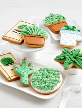 Frosted Succulent Cookies - Set Of 8
