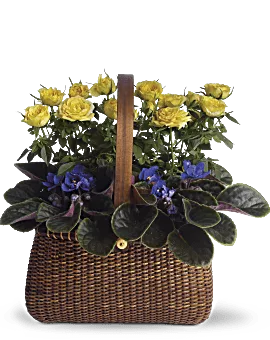 Garden To Go Basket | Roses | Same Day Flower Delivery | Multi-Colored | Teleflora