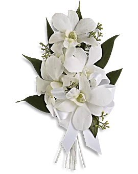 Graceful Orchids Corsage | Corsages | Same Day Flower Delivery | White | Teleflora
