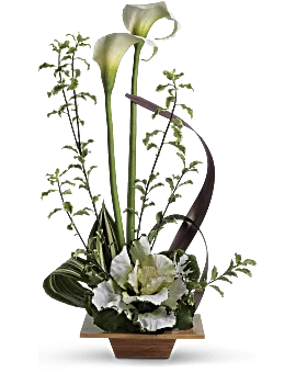 Grand Gesture | Calla Lilies | Same Day Flower Delivery | White | Teleflora
