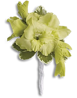 Grand Gladiolus Boutonniere | Corsages | Same Day Flower Delivery | Green | Teleflora
