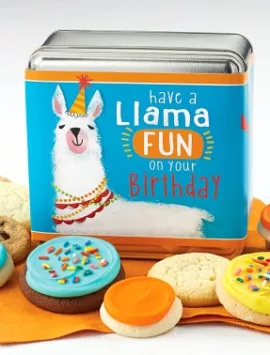 Have A Llama Fun Gift Tin