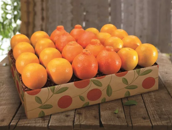Honeybells & Navel Oranges