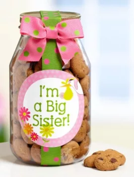 I'm A Big Sister! Chocolate Chip Cookie Jar