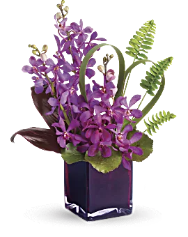 Island Princess | Orchids | Same Day Flower Delivery | Red | Teleflora