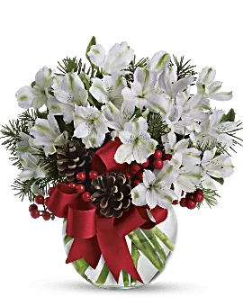 Let It Snow | Alstroemeria | Same Day Flower Delivery | White | Teleflora