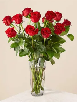 Long Stem Red Rose Bouquet – 12 Red Roses Bouquet | Good