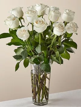 Long Stem White Rose Bouquet | Good