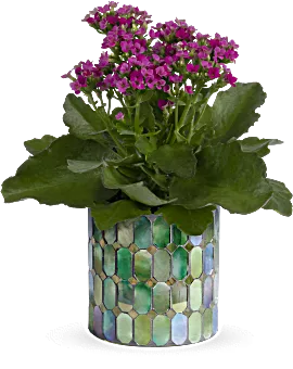 Memorable Mosaic Plant | Mixed Bouquets | Same Day Flower Delivery | Pink | Teleflora
