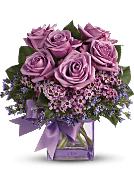 Morning Melody | Roses | Same Day Flower Delivery | Purple | Teleflora