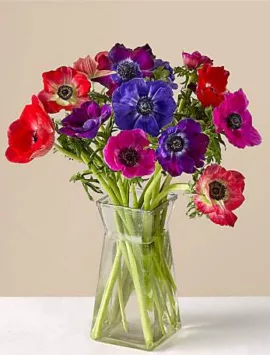 Mother's Day 15 Stem Anemone Bouquet with Vase