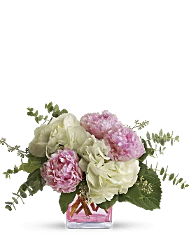 Mother's Day Flowers - White Hydrangea & Pink Peonies in Pink Glass Vase. Teleflora Offers Same Day Flower Delivery.