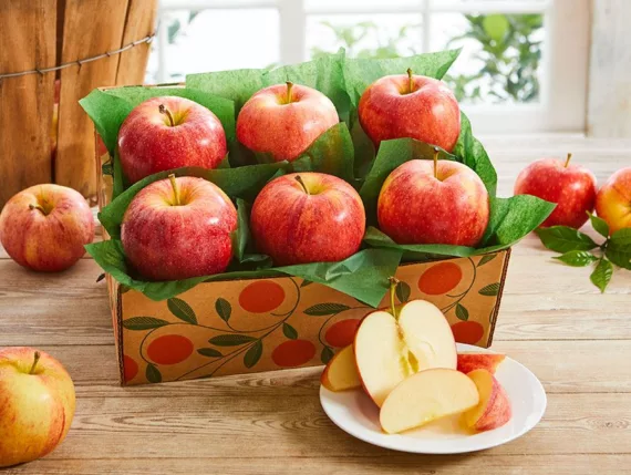 Orchard Fresh Apples