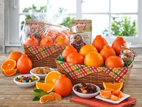 Orchard Plaid Basket Box with Honeybells