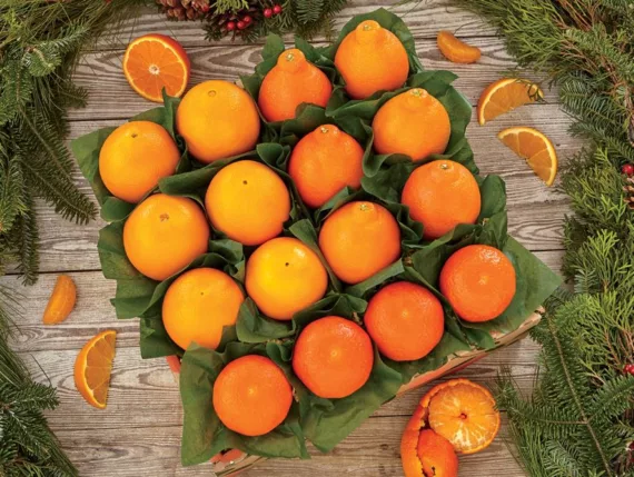 Outrageous Oranges!