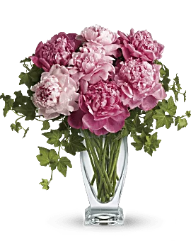 Perfect Peonies Bouquet | Mixed Bouquets | Same Day Flower Delivery | Pink | Teleflora