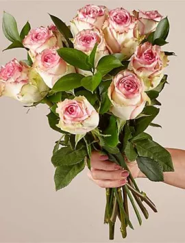 Pink Champagne Rose Bouquet 12 Stem No Vase