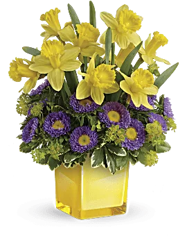 Playful Springtime Daffodil Bouquet | Asters | Same Day Flower Delivery | Multi-Colored | Teleflora