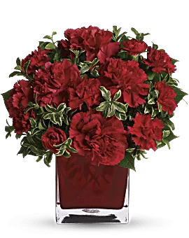 Precious Love Bouquet | Carnations | Same Day Flower Delivery | Red | Teleflora