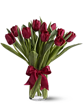 Radiantly Red Tulips | Same Day Flower Delivery | Teleflora