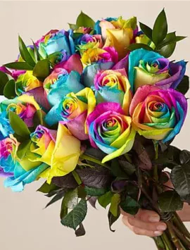 Rainbow Rose Bouquet 24 Stem No Vase