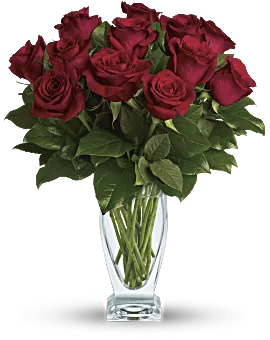 Rose Classique | Roses | Same Day Flower Delivery | Red | Teleflora