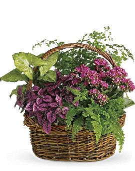 Secret Garden Basket | Mixed Bouquets | Same Day Flower Delivery | Pink | Teleflora